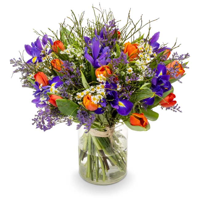 Bouquet of spring flowers